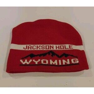 GAP Kids Jackson Hole Wyoming Ski Beanie Hat Red Fleece Lined Child Sz Med